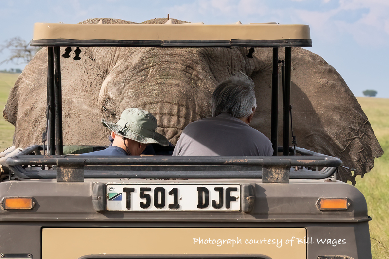 David-and-Bob-B-w-Big-Elephant-courtesy-of-Bill-Wages