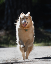 Liam-Run-Jump-BL-1