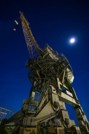 Walker-Big-Daddy-Progenitor