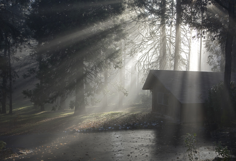 Boat House Fog