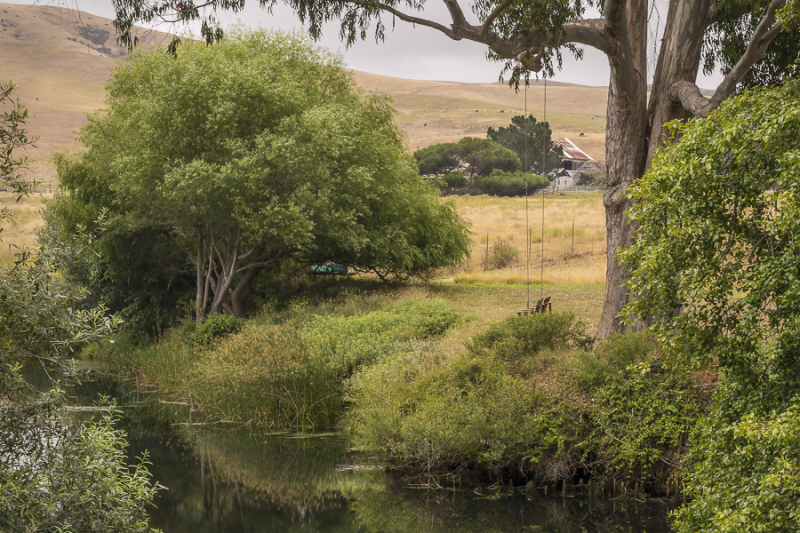 By the Creek