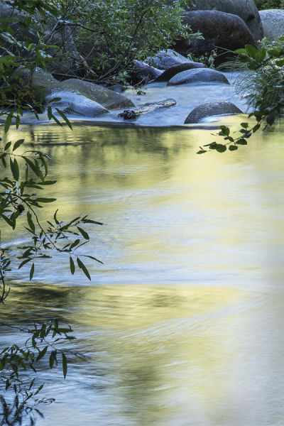 Deer Creek Morning Glow