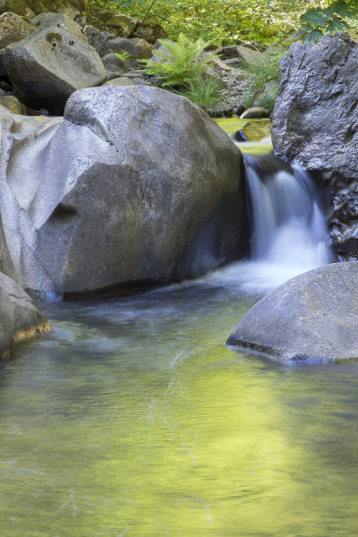 Deer Creek