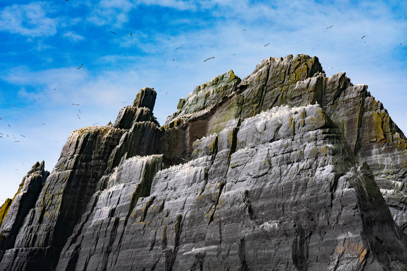 Little-Skellig-Gannet-Rock_DGW7326