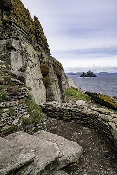 Little Skellig, Ireland