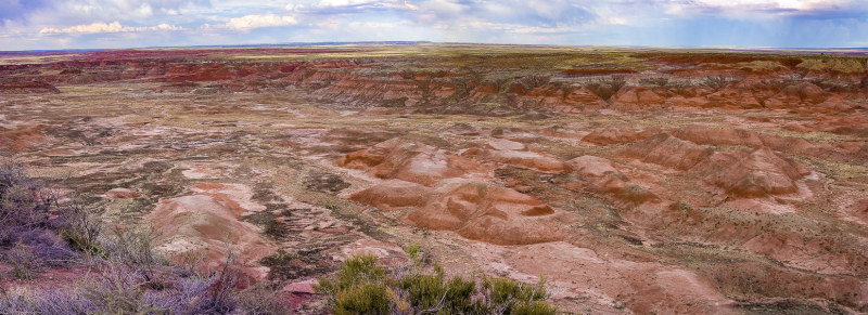 Painted Desert Panorama