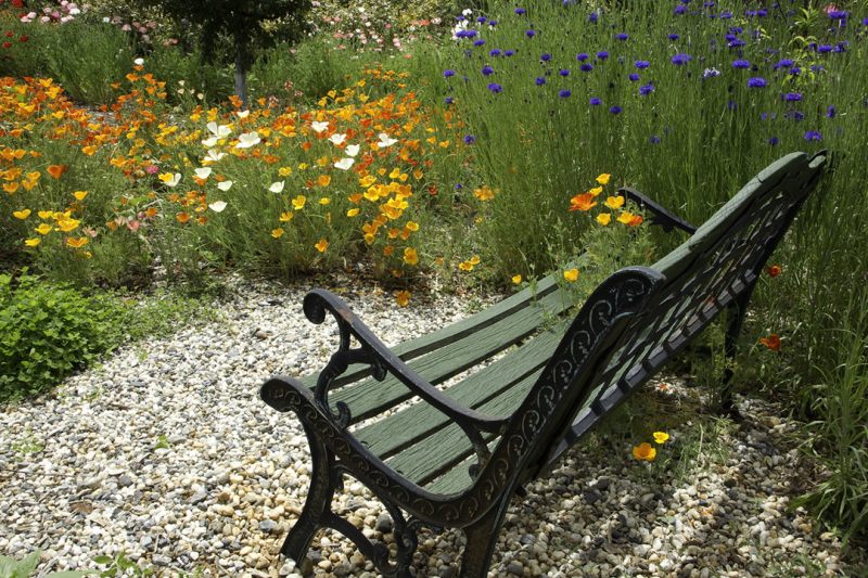Poppy-Bench