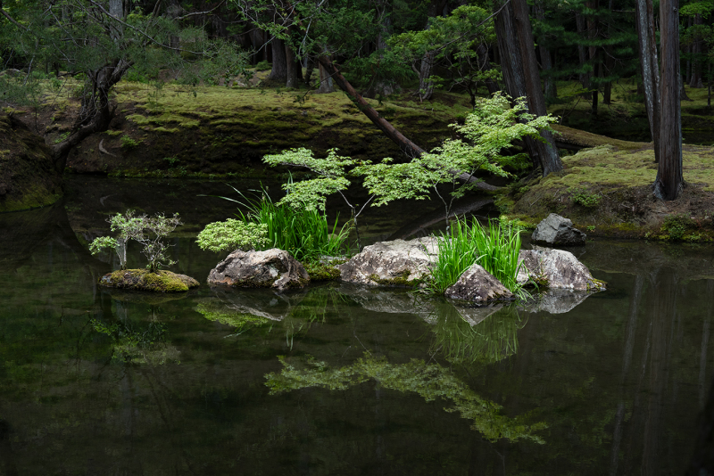 Saiho-ji-Refections-
