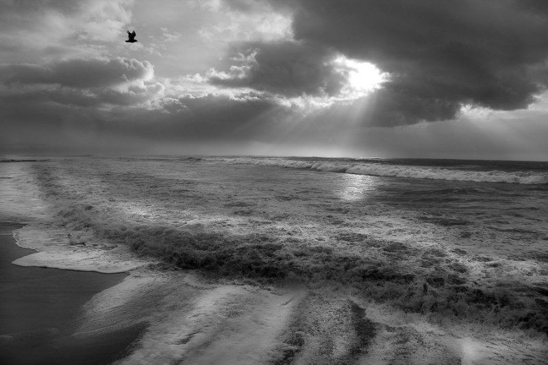 Storm and Redemption