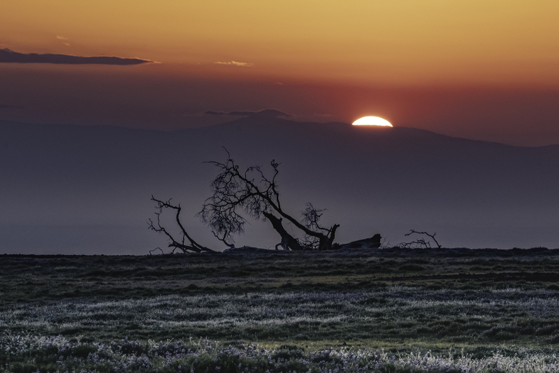 Table-Mountain-Sunset-Glow-Web