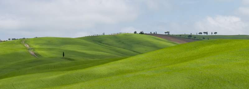 Tuscan Dream Scape, Italy