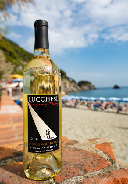 Lucchesi at  Monterosso