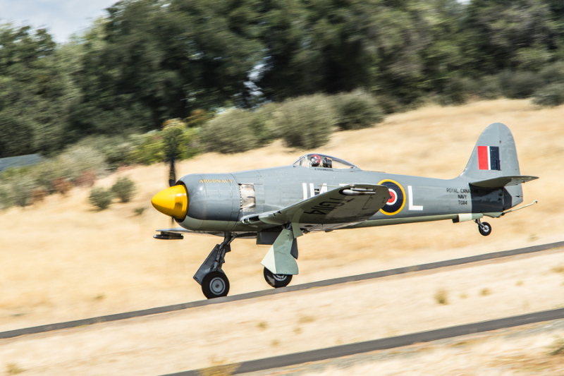 Hawker Sea Fury